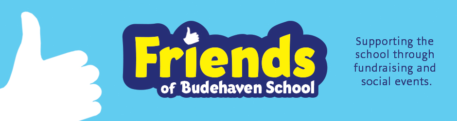 Friends of Budehaven