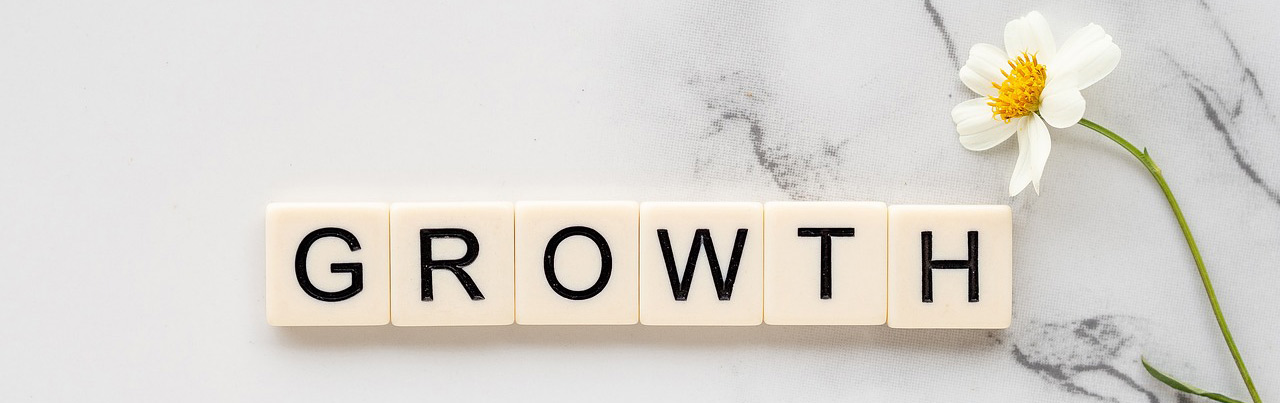 Personal Development Image by Mango Matter from Pixabay